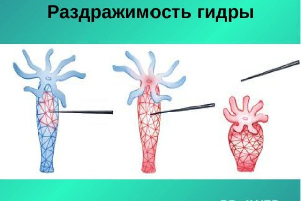 Гидра даркнет рынок